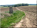 Trig point S2750 near Durley Manor Farm