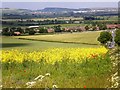 Panoramic view from Staxton Hill