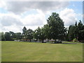 Trees on Englefield Green