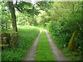 The old road near Sandy Beck Bar, Rylstone