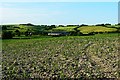 Field, Ogbourne St George