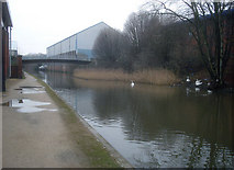 SO8555 : Towpath on the Worcester & Birmingham Canal by Trevor Rickard