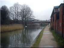 SO8555 : Worcester & Birmingham Canal by Trevor Rickard