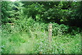 Waymarker, footpath junction, Sticklands Wood