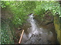 The Ashton Brook from Long Ashton flows out from under Yanley Lane