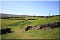 Swaledale Footpath