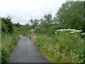 Clyde Walkway and Cycle Route No. 75