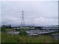 Pylons from the Clyde Walkway