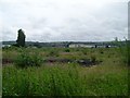 Industrial buildings near the Clyde Walkway