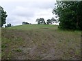 Hill behind Westburn Village