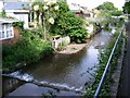 Dawlish Water and the rear of Brook Street, Dawlish