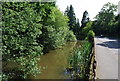 Roadside pond, Maidstone Rd, Hadlow (2)