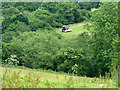 ST6264 : 2009 : Haymaking near Publow Farm by Maurice Pullin