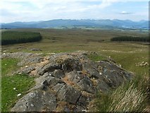 NS4579 : Summit area of Knockupple by Lairich Rig