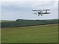 Tiger Moth, Compton Abbas