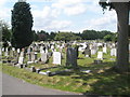 Englefield Green Cemetery (3)