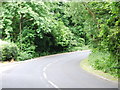 Taddington Wood Lane, Walderslade Woods