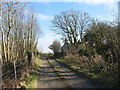 The exit road from the former Llangwyllog railway station