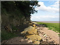 Sandstone cliffs at Kilkenny Bay