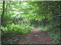 Footpath in Norton