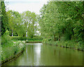 Staffordshire and Worcestershire Canal east of Coven, Staffordshire