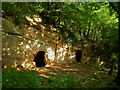 Caves at The Hermitage