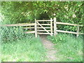 Gate as seen on the footpath from Northcroft Road  to The Sun