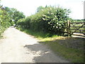 Looking eastwards along Prospect Lane