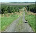 NY7271 : Sustrans Route 68 Wark Forest by Simon Johnston