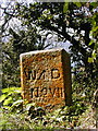 SW8431 : W.D. Survey stone. by ROWLAND TURNER