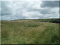 Grassland north of the A27