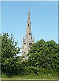 TL6131 : Spire of the parish church, Thaxted by Humphrey Bolton