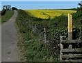 Heading south along Sandy Lane