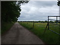 Fields to Assleby Grange