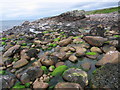 Torridonian beach