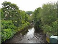 River Tame