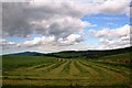 Silage at Boginduie