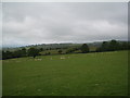 Pasture land above Felinfach