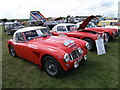 Austin Healeys at Bolnhurst Country Show