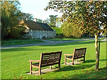 SY6488 : Benches on the green, Martinstown by Rose and Trev Clough