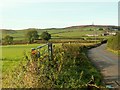 Road from Martinstown to Black Down