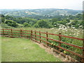 View, from the top of Duryard Valley Park