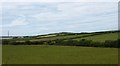 View over pasture land towards the drumlin at Penial Dowyn