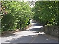 Narrow Lane - Harden Road