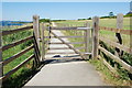 Llwybr y Dryll - Dryll Path