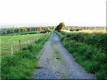 O0414 : Lane at Ballysmuttan, Co. Wicklow by JP