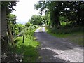 C3040 : Road at Milltown by Kenneth  Allen