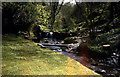 St Nectans Glen at Halgabron Mill