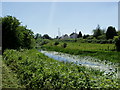 A walk by the Lagan Canal