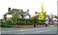 Interesting topiary on Ipswich ring road